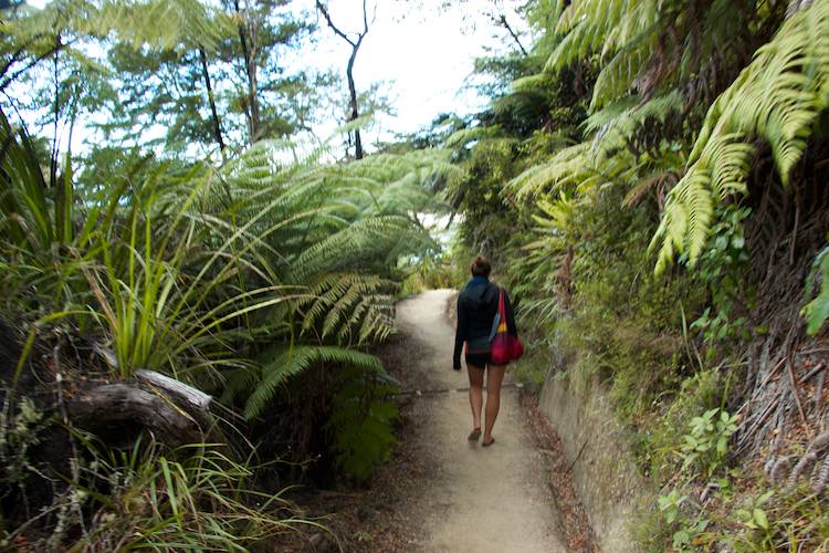 Abel_Tasman_IMG_5064