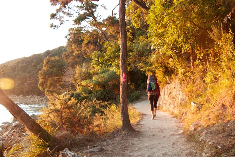 Abel_Tasman_IMG_5255