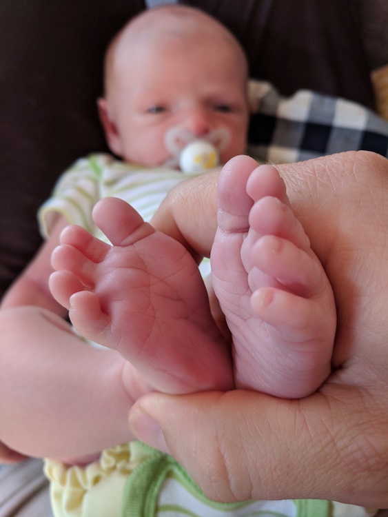 Alden feet