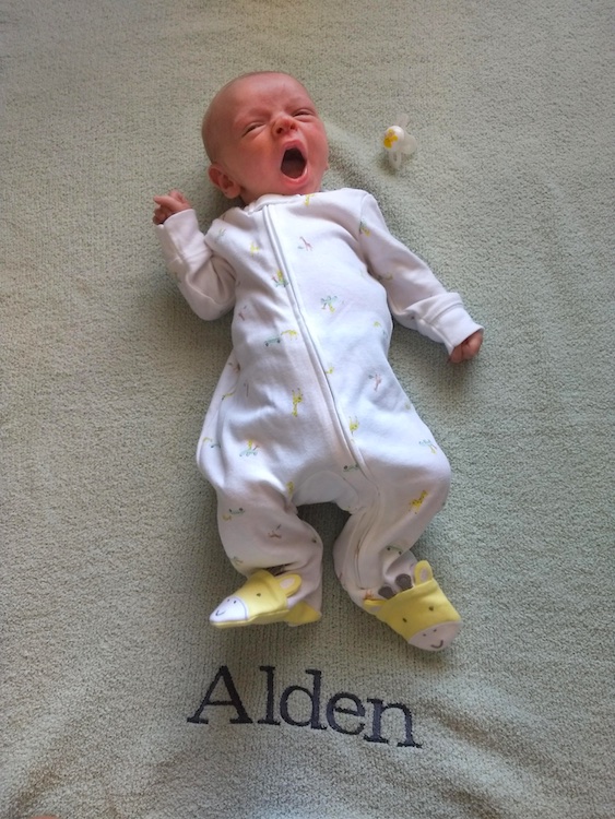 Baby Alden